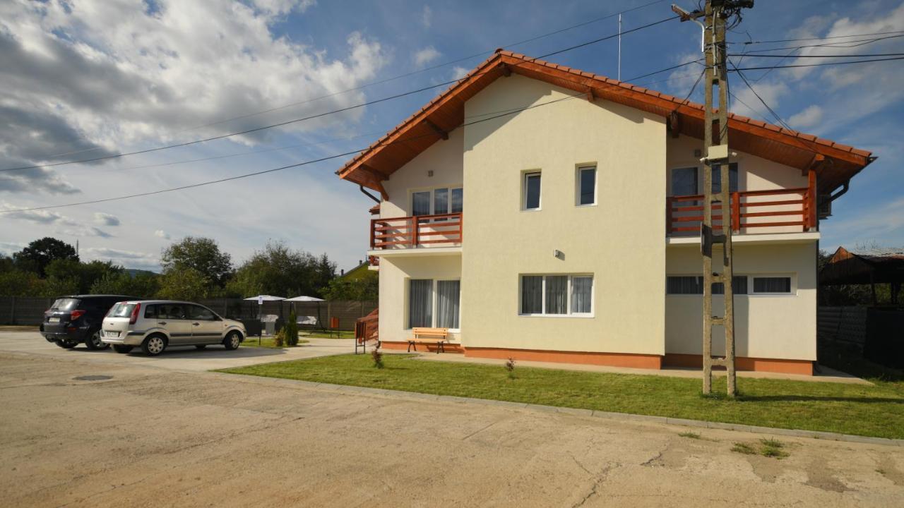 Pensiunea Hera Haţeg Exterior foto