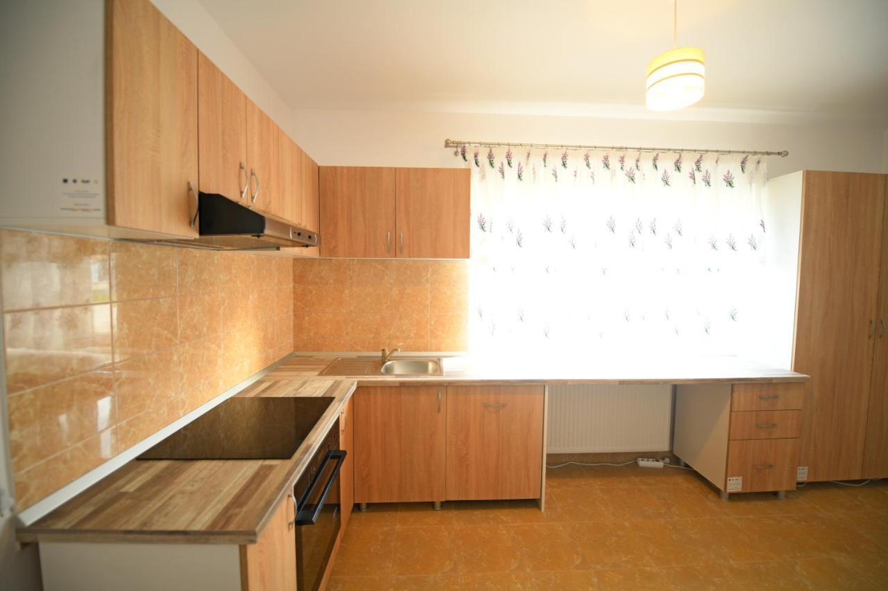 Pensiunea Hera Haţeg Exterior foto