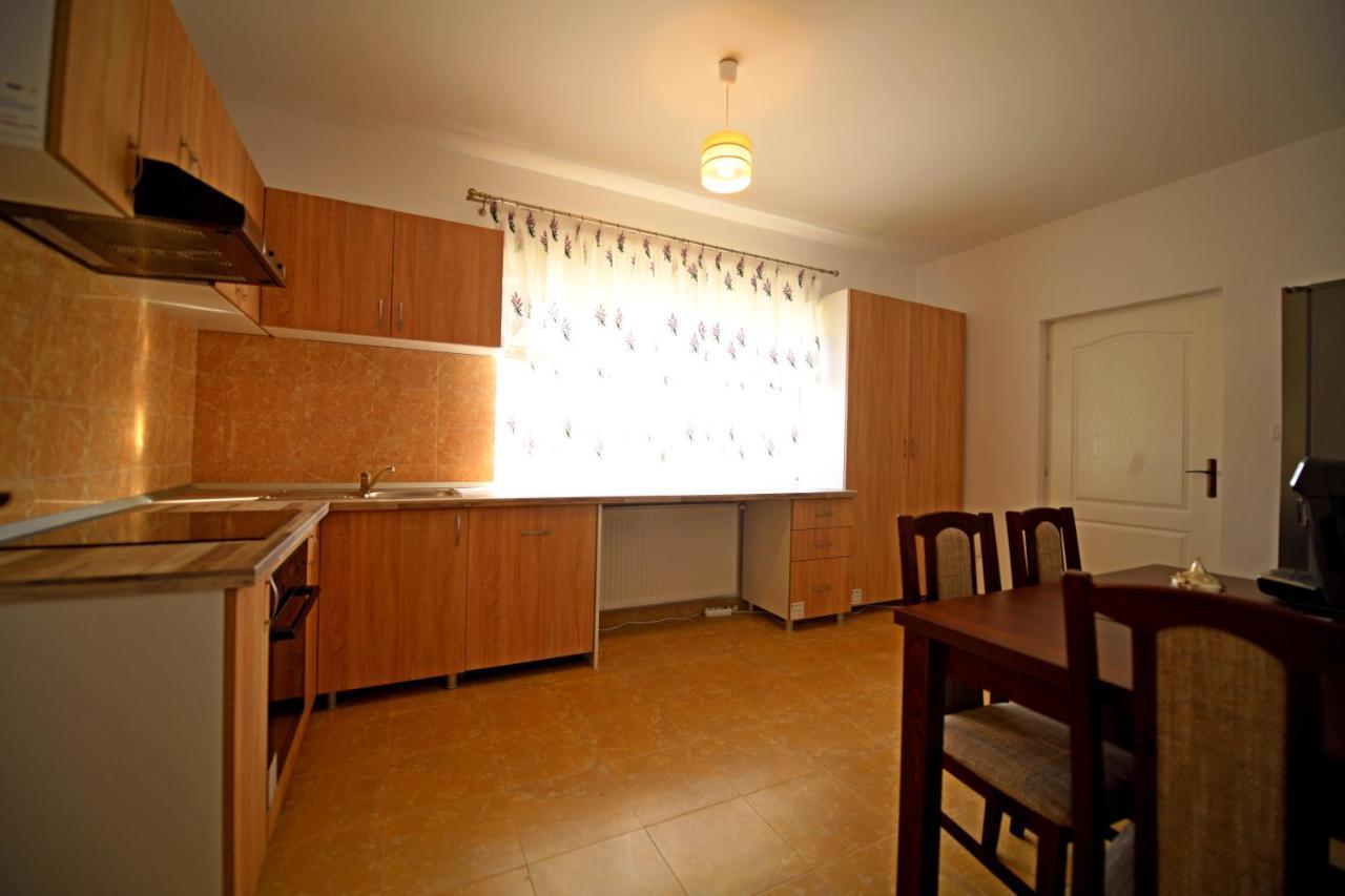 Pensiunea Hera Haţeg Exterior foto